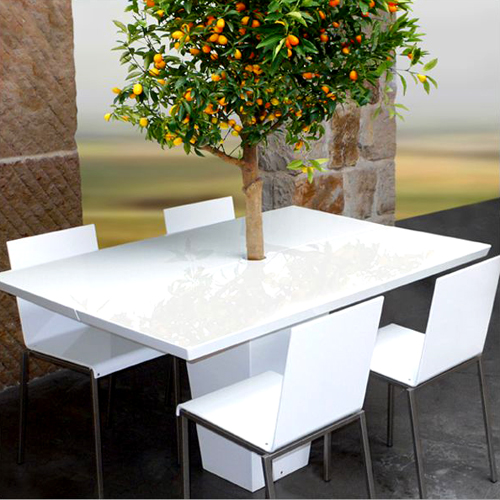 Dining Tables with Small Trees - Image 3