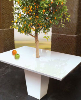 Dining Tables with Small Trees