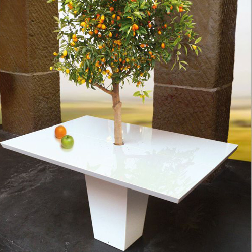 Dining Tables with Small Trees