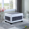 19"in OLD WORLD BLUE/WHITE BONDED LEATHER ACCENT TRIM STORAGE OTTOMAN w/ 2 SEATING - Image 2
